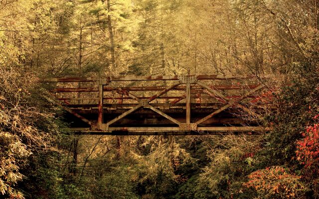 File:Abandoned Forest Bridge.jpg