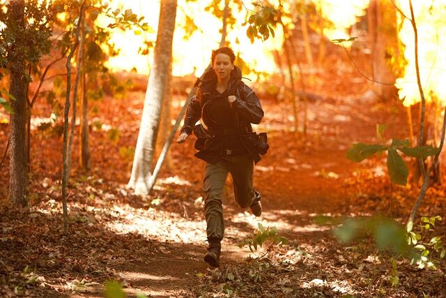 File:Katniss fire.jpg