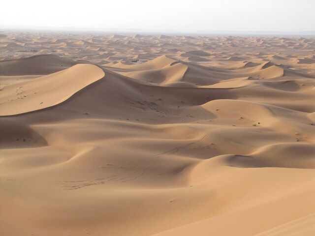 File:Sand Dunes.jpg