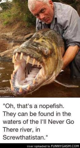 File:Thats-A-Nope-Fish.jpg