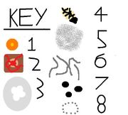JWW arena key