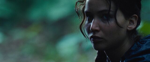 File:Thehungergames-6318.jpg