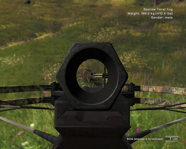 Datei:Crossbow03.jpg