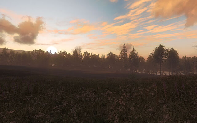 Fichier:TheHunter-2009-09-28-20-31-.jpg