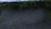 Canyon creek 004