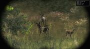Spotting001