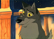 Dis balto.jpg