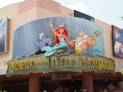 Voyage of the little mermaid