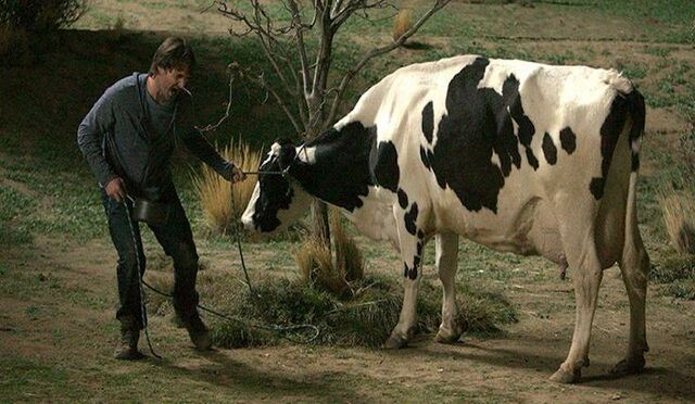 File:Mooovin1.jpg