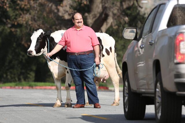 File:Mooovin2.jpg