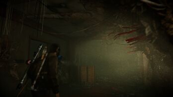 The Last of Us™ Remastered Spores