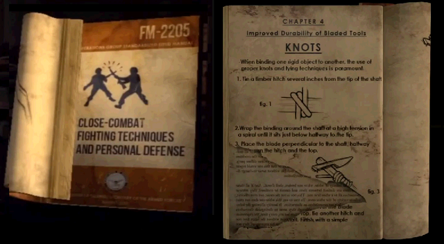 Файл:Trainings 4.png