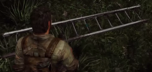 Ladder