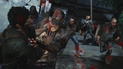 Infected runners.png