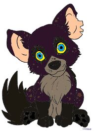 Nazaidi cub