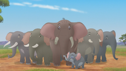 Ma Tembo's Herd
