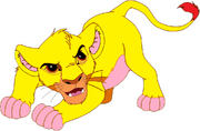 Amir ready to pounce