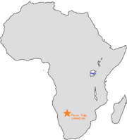 Nyasi