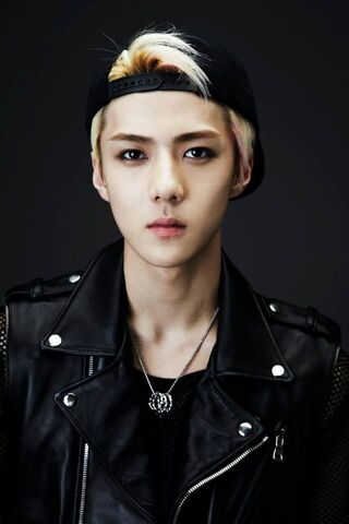 File:SehunWolfPortrait.jpg