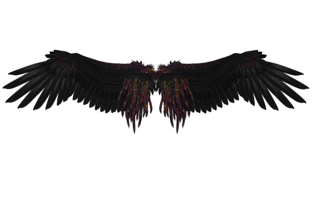 File:Black-Engel-Black-Wing-Mystical-Feather-Fly-Angel-1657364.png