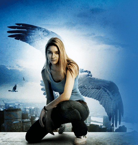 File:Max-max-maximum-ride-32018350-972-1024.gif