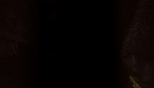 File:Newbg.png