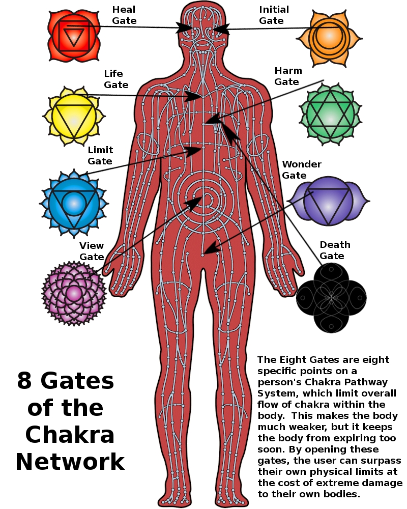 Image 8 gates of the chakra network.jpg Naruto Fanon Wiki FANDOM