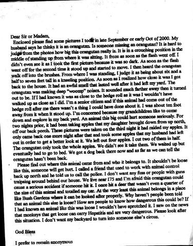 File:Letter low.jpg