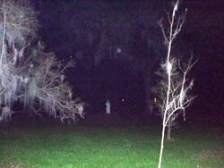 Haunted-myrtes-plantation