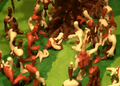 Thumbnail for version as of 16:34, June 12, 2011