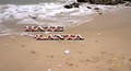 Thumbnail for version as of 23:05, October 3, 2012