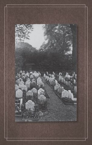 File:Peculiar graveyard.jpeg