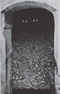 File:Eyes in the dark.jpeg