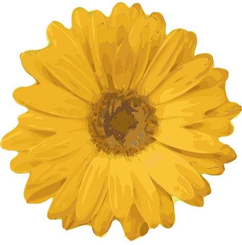 File:Flower clipart.png