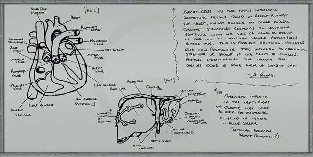 File:C2a4x labboard9.jpg