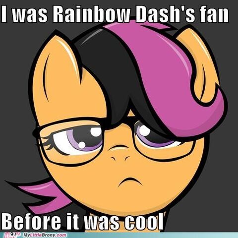File:Scootaloo Is Cool .jpg