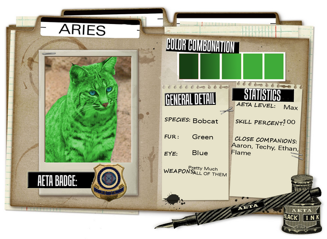 File:Ar case.png