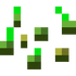Seeds