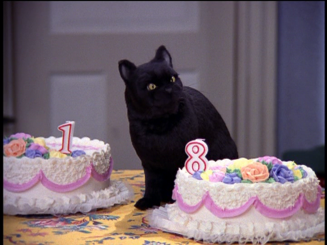 File:Salem Eats Cake.png
