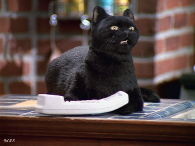 File:Salem NO 1.png