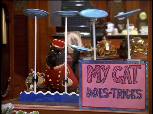 File:My Cat Does Tricks.png