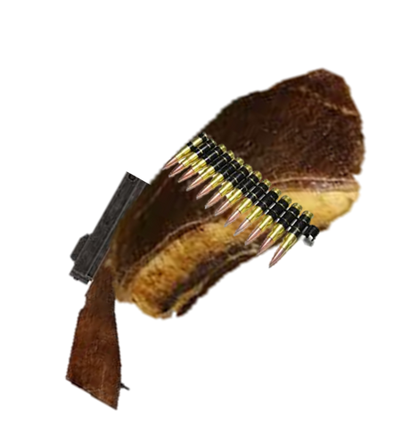 File:Gun form.png