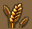 Wheat