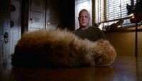 1x04 Mackey and dog
