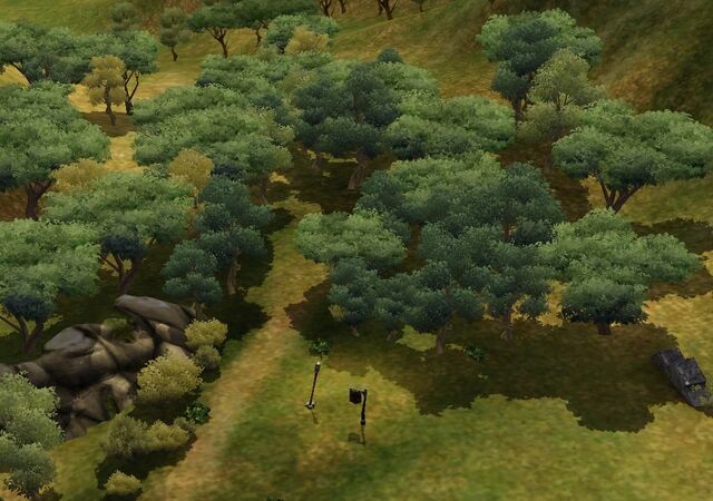 File:Forest.jpg