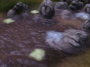 Leech Pond