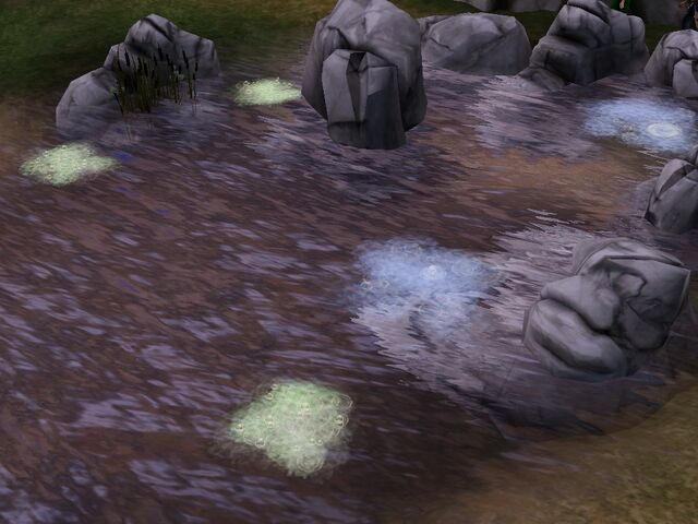 File:Leech Pond.jpg