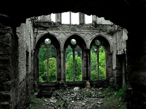 Forest ruins