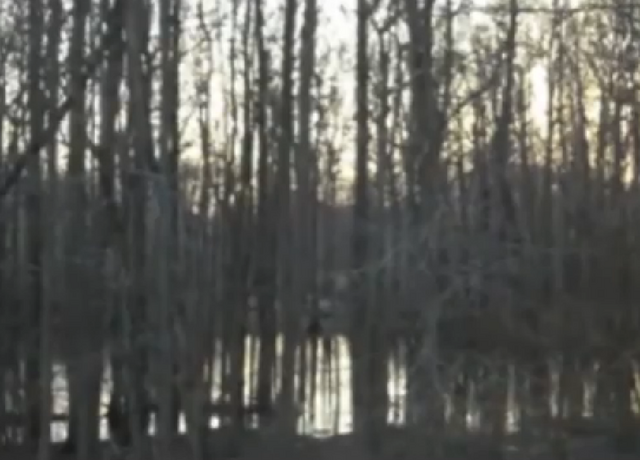 File:Vincent's first episode ending..png