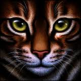 File:Warrior cat -6.jpg